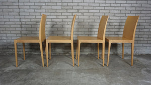 Crassevig Anna
